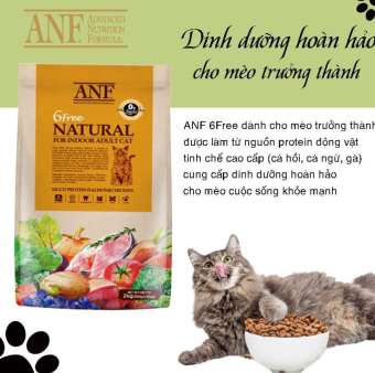 Thức Ăn Cho Mèo Anf 2Kg