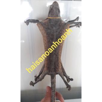 2 con tắc kè khô