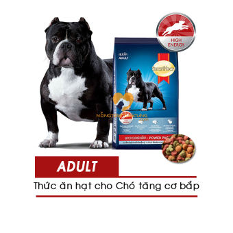 Thức Ăn Hạt Cho Chó Trưởng Thành SmartHeart Adult Dog Power Pack ( 1KG, 3KG)- Giúp tăng cơ bắp