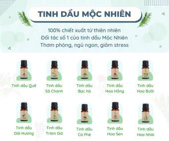 tinh dầu đèn xông Nhà mộc, tinh dầu máy xông thơm phòng cao cấp - TyphoonMart