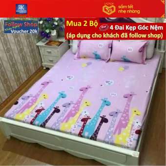 bộ ga chun poly 1m6x2m + 2 áo gối 45cmx65cm.