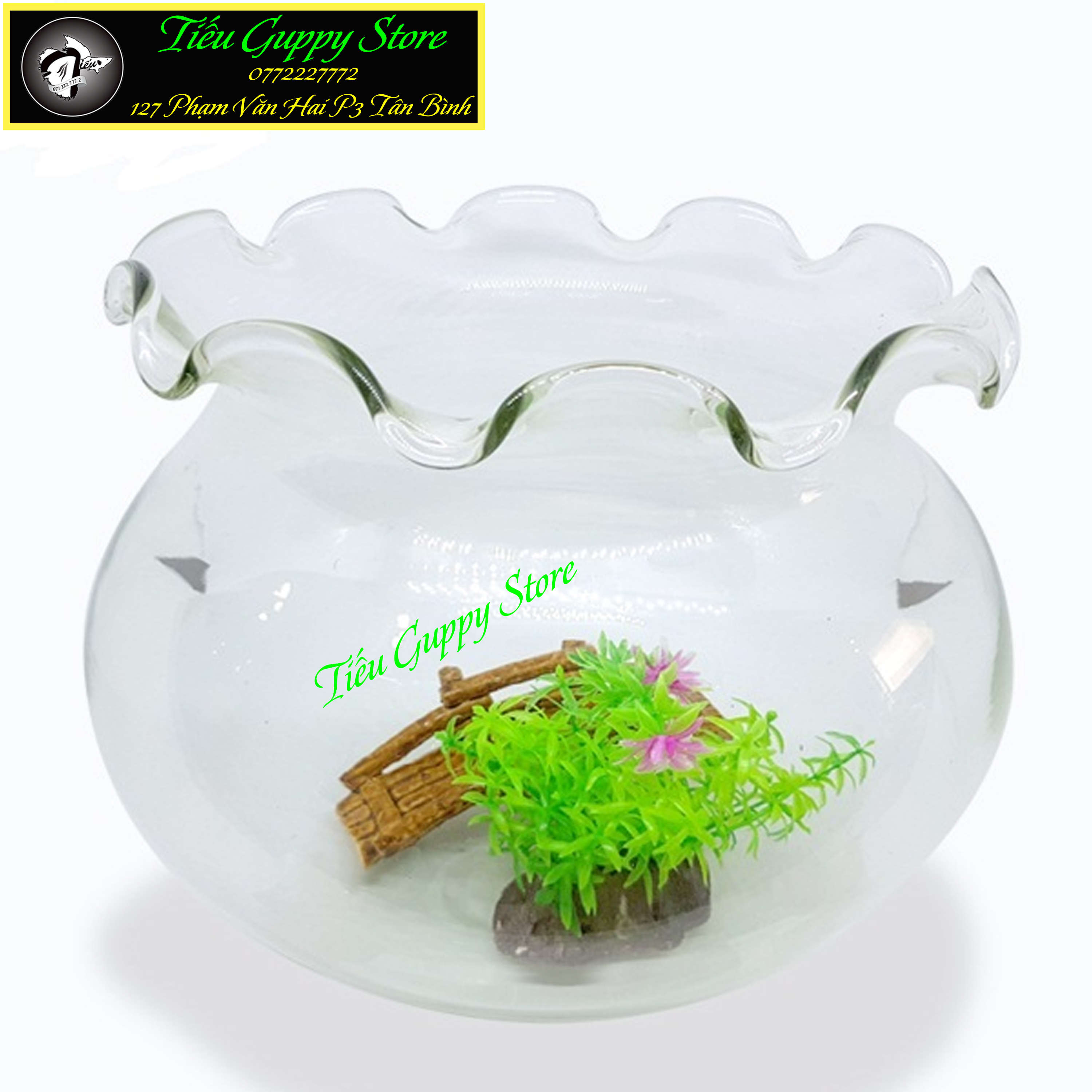 Hồ cá thủy tinh, bể cá thủy tinh miệng bèo - trang nhã, tinh tế, thích hợp trang trí ko gian nhỏ
