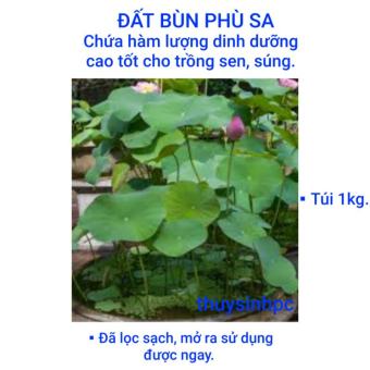 1kg đất bùn trồng sen súng cảnh