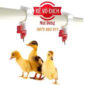 máng uống tự động cho vịt  dạng núm