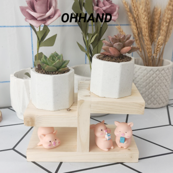 Kệ Gỗ Trang Trí Sen Đá Xương Rồng , Kệ Bằng Que Kem Để Bàn Đặt Chậu Cây Nhỏ
