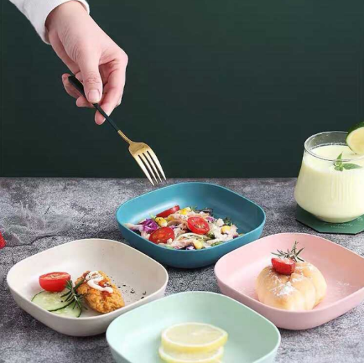 Set 8 Chiếc Đĩa Nhựa Sinh Học Lúa Mạch