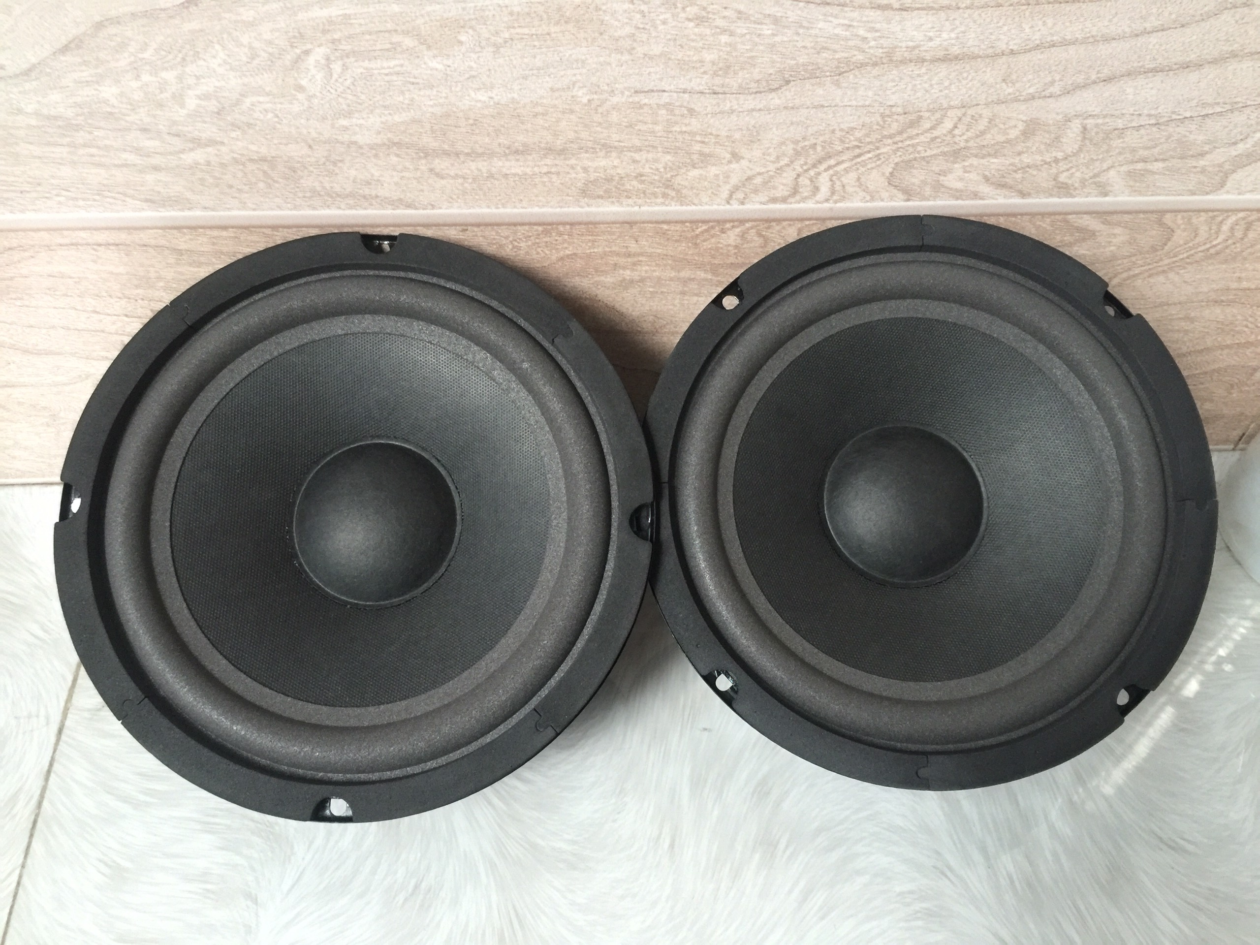LOA BASS 20 RỜI TỪ 100 COIL 25 HÀNG MỚI CAO CẤP