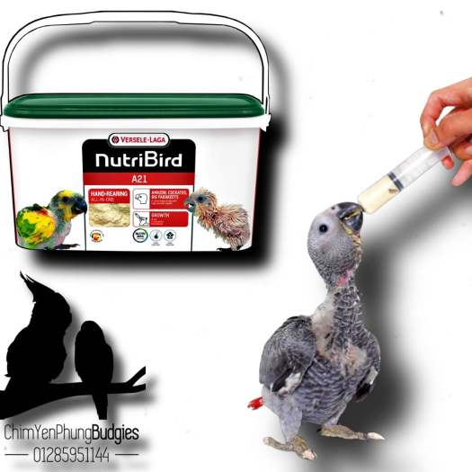 500g bột Nutribird A21 giàu dinh dưỡng cho vẹt non_XUẤT XỨ: BỈ - date mới.