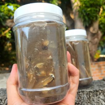 Mắm cái cá cơm Phú Yên, nguyên chất chưa pha (500g) - Đặc sản Bà Mười