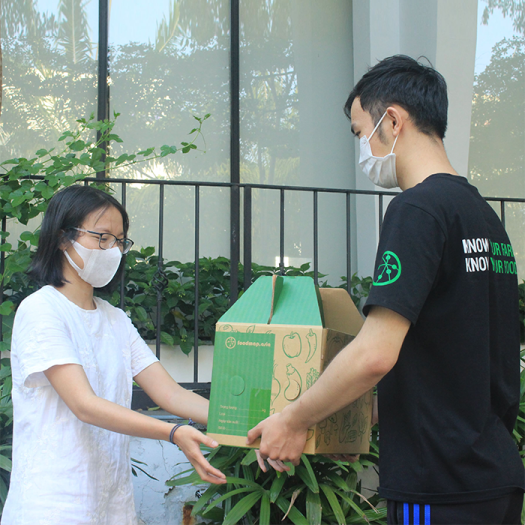 Cải Kale (Cải Xoăn) Đà Lạt - Túi 500g - Đặc Sản Ngon Lành