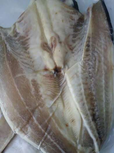 Khô Cá Dứa Miền Tây ( Biển Bến Tre)