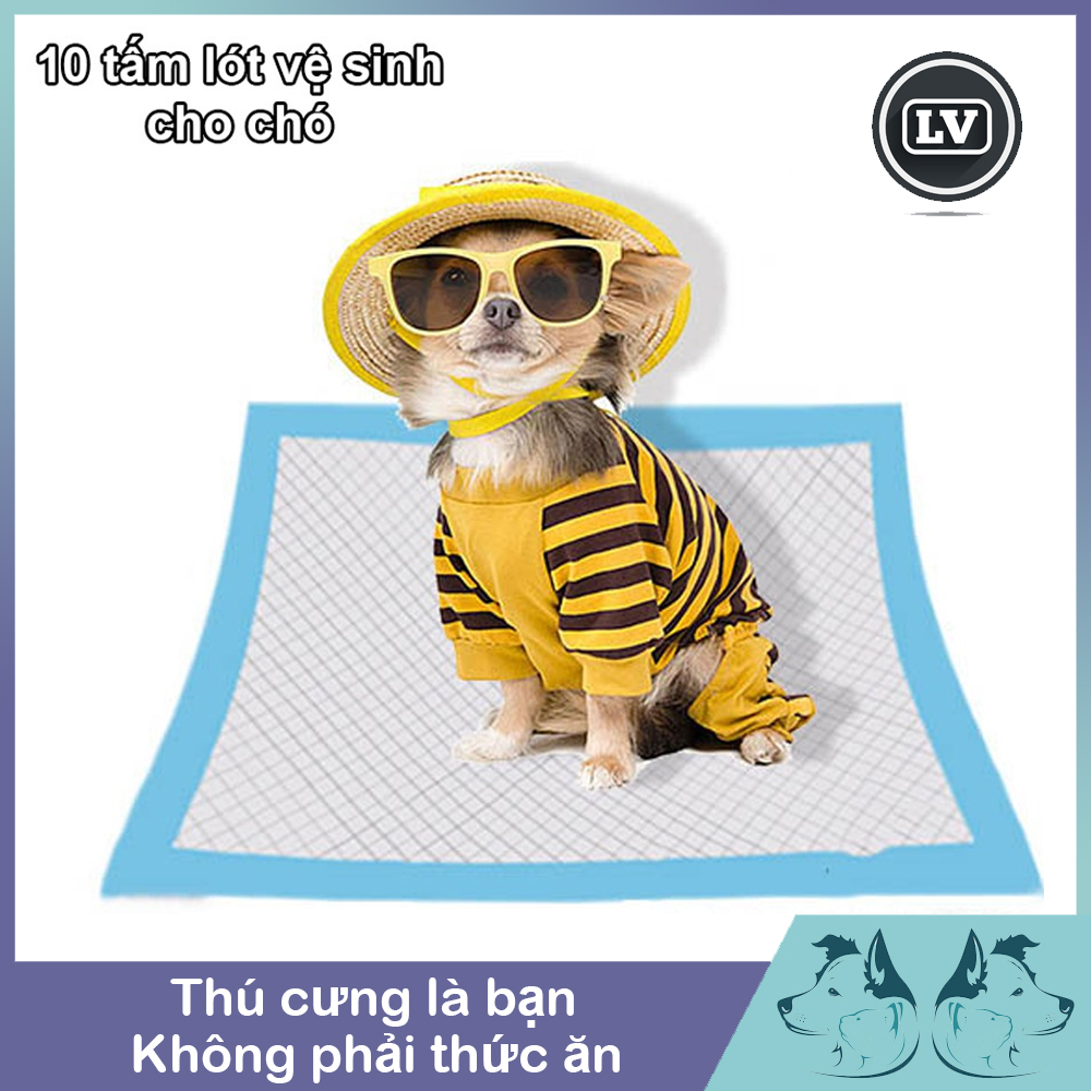 10 tấm lót vệ sinh cho thú cưng đủ size