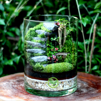Đá viên tự nhiên làm bậc thang đá - trang trí tiểu cảnh, terrarium, trang trí thuỷ sinh