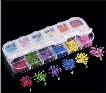 Set Khay 12 ô kèm Hoa khô Trang trí Nails, Móng tay