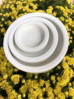 Chén sứ đựng côn trùng