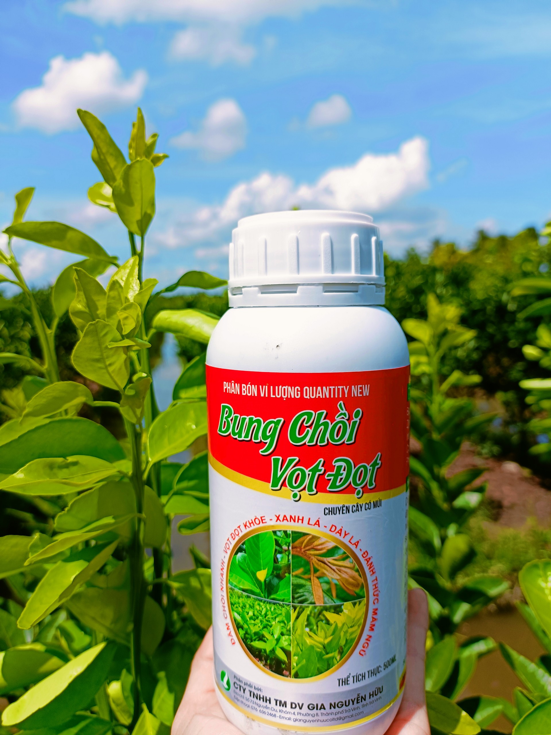 Bung chồi vọt đọt chai 500ml - thúc đẩy quá trình vọt đọt nhanh, ra nhiều đọt to, mập khoẻ - giúp cây ra lá xanh, dày lá.