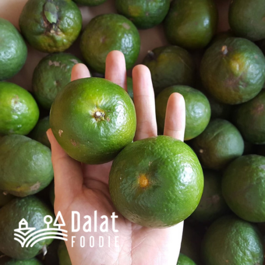 Cam Sành 1Kg - [Giao hàng ngay tại TPHCM]