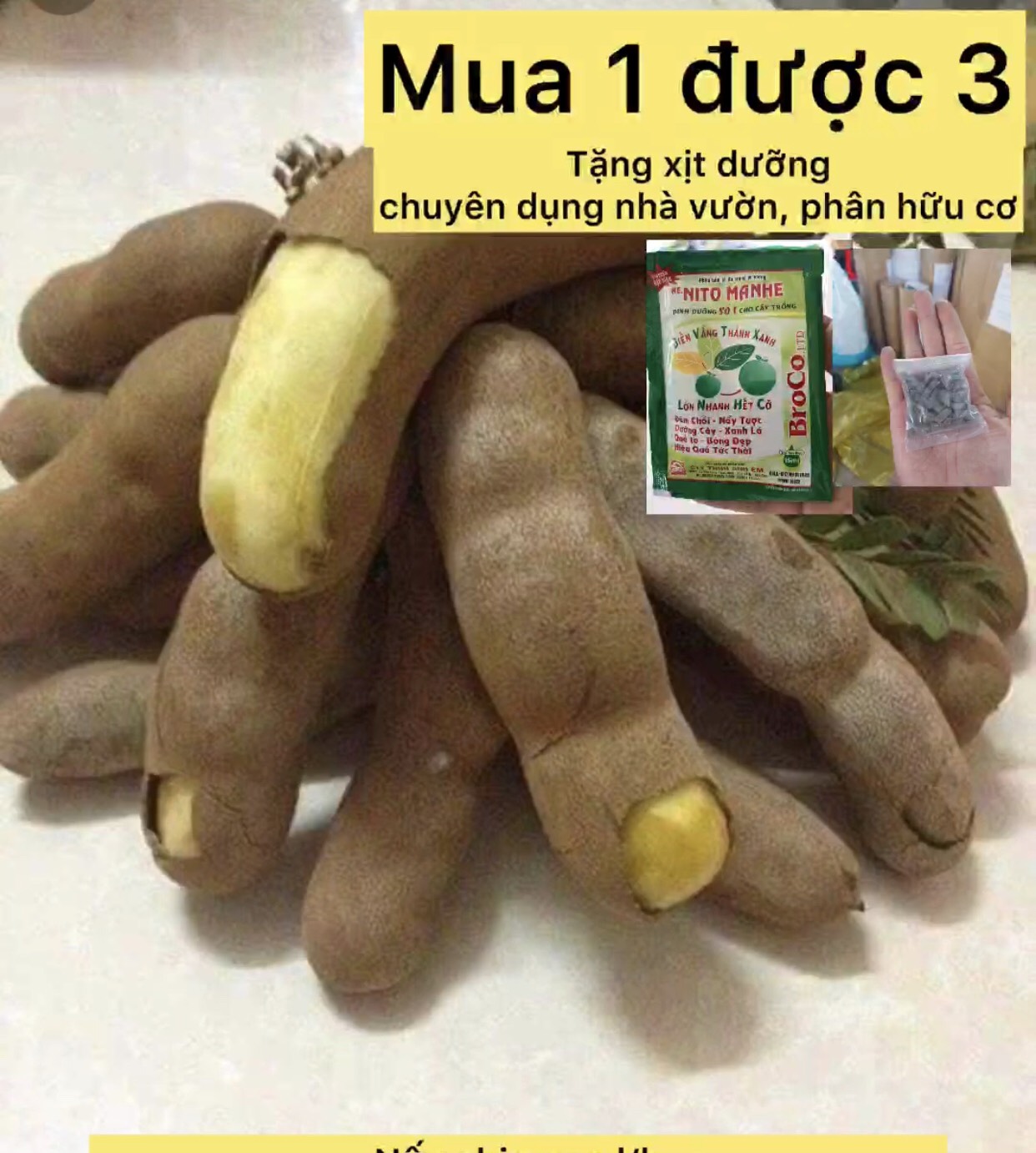 Cây me thái lan cây ăn quả caykiengsadec