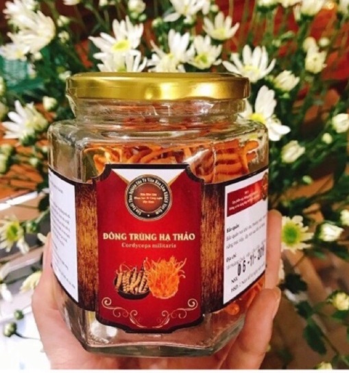 Đông trùng hạ thảo sấy khô- Viện Hàn lâm