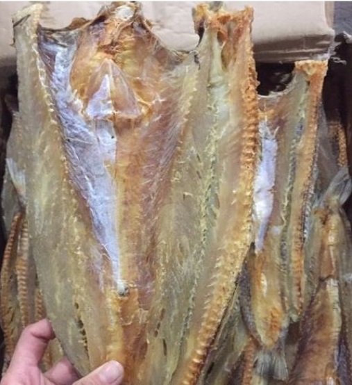 1kg khô cá mối trắng-chất lượng ngon , thịt dai thơm béo, không dùng chất bảo quản phơi khô tự nhiên