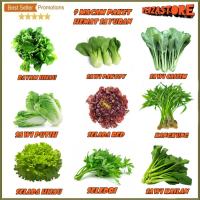 biji benih Paket Hemat 9 Macam Benih Sayuran Daun 30 Hari Panen Bayam  Sawi Pakcoy sawi putih sawi caisim sawi kailan Selada hijau selada red kangkung seledri  bibit unggul