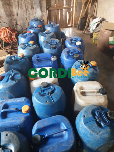 1 lít Mật Ong Hoa Cà Phê Nguyên Chất Đăk Lăk giá sỉ