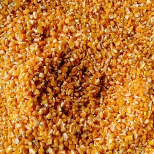 1Kg Bột Cám Ngô - Cám Ngô  Thức Ăn Cho Gia Súc, Gia Cầm