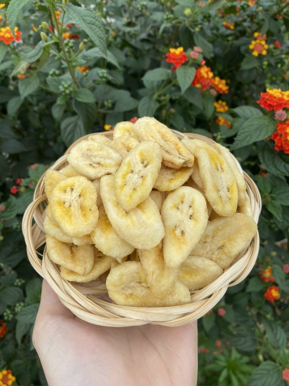 chuối sấy giòn ngọt loại A 500gr