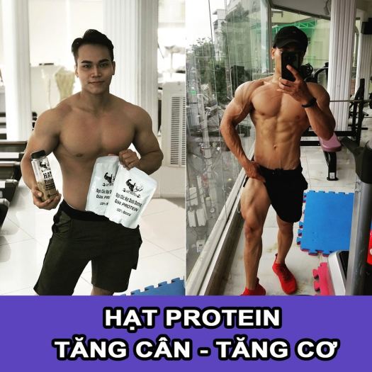 ⊙◄✓ COMBO 2 túi Bột ngũ cốc Hạt Protein Tăng cân tăng cơ Tặng bình pha lắc