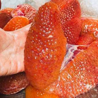 Trứng cá Ngát 500gr (giao tphcm)