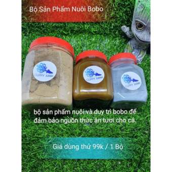 Nuôi , Kích , Tạo Bobo ( Trứng Nước ) Chủ Động Nguồn Thức Ăn Cho Cá Cảnh