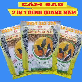 CÁM SAO CHÍCH CHÒE HIỂN BẢO KHÁNH, CÁM SAO