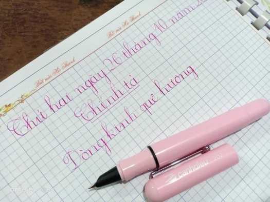 Bút máy Cánh Diều 202 loại vòng đệm⚡ CAO CẤP ⚡ bút mực cho bé lớp 1 trở lên - bút luyện viết chữ đẹp - được chọn màu