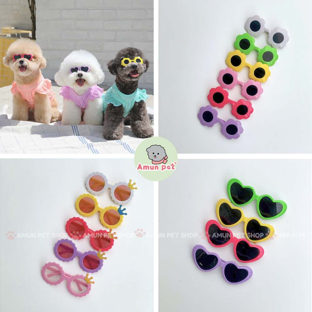 Kính cho chó mèo - mắt kính cho thú cưng, phụ kiện kính thời trang cho chó mèo dễ thương amun pet