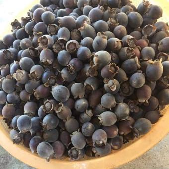 QUẢ Sim Rừng chín phơi khô 1kg - Đặc Sản Rừng