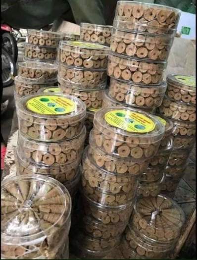 NỤ ĐUỔI MUỖI THẢO DƯỢC