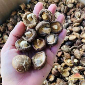 Nấm đông cô khô Sa Pa HOA BAN FOOD, nấm cúc loại 1 1kg thượng hạng. Đặc sản nấm đông cô Sapa, nấm hương rừng Tây Bắc xiên que phơi khô