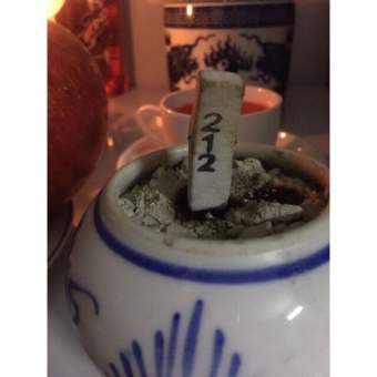 Túi 10 viên tặng 1 viên b - nhang xin số đề thái lan đã phép