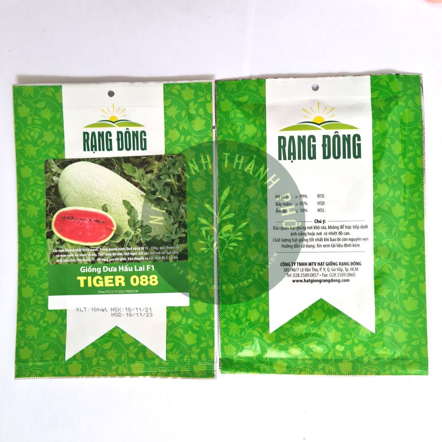 Hạt giống Dưa hấu lai F1, dưa hấu khổng lồ Tiger, 10 hạt