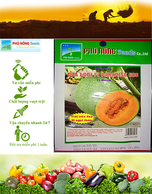 [HCM]DƯA LƯỚI F1 PARADISE 686 THÁI LAN GÓI 0.2GRAM  . TẶNG KÈM PHÂN BÓN  .
