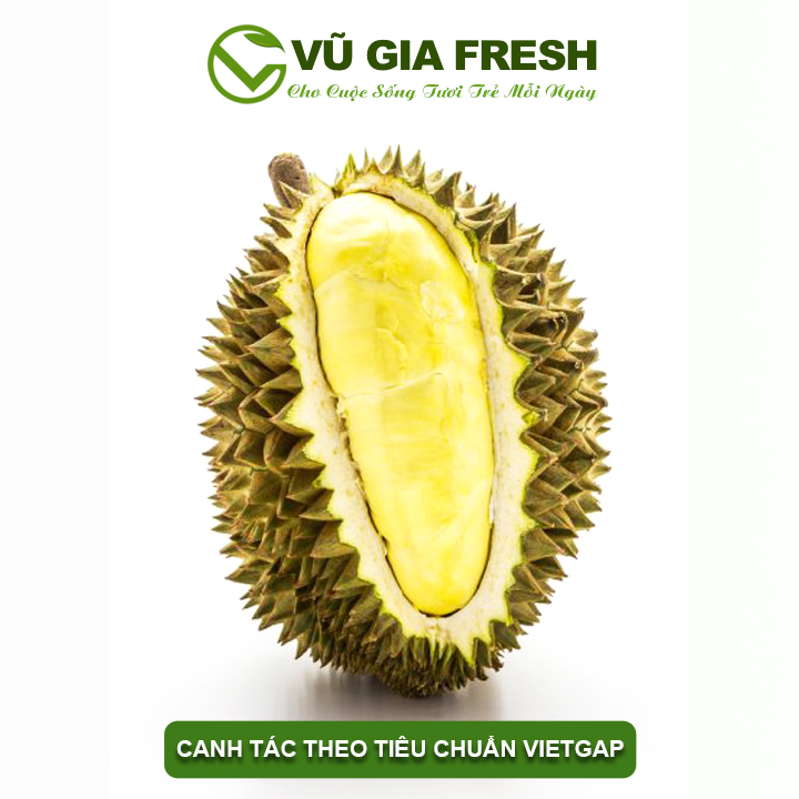 VG FARM Sầu Riêng Bảo Lộc Lâm Đồng - Cơm vàng , hạt lép, béo ngậy ngon lắm ạ