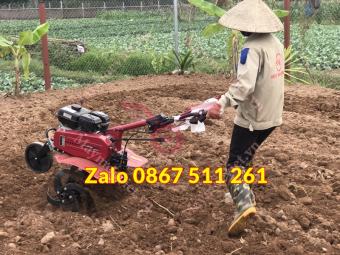 Máy xới đất mini Kamastsu KM650 tại Thanh Oai