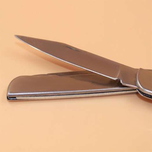 Dao Gọt Hoa Quả Trái Cây Du Lịch Gấp Gọn Mini