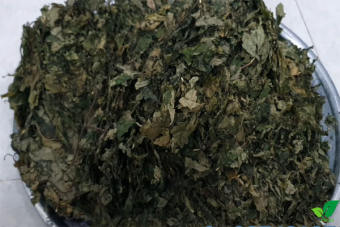 500GR CÂY CƠM KÌA - LÁ ĐẮNG KHÔ