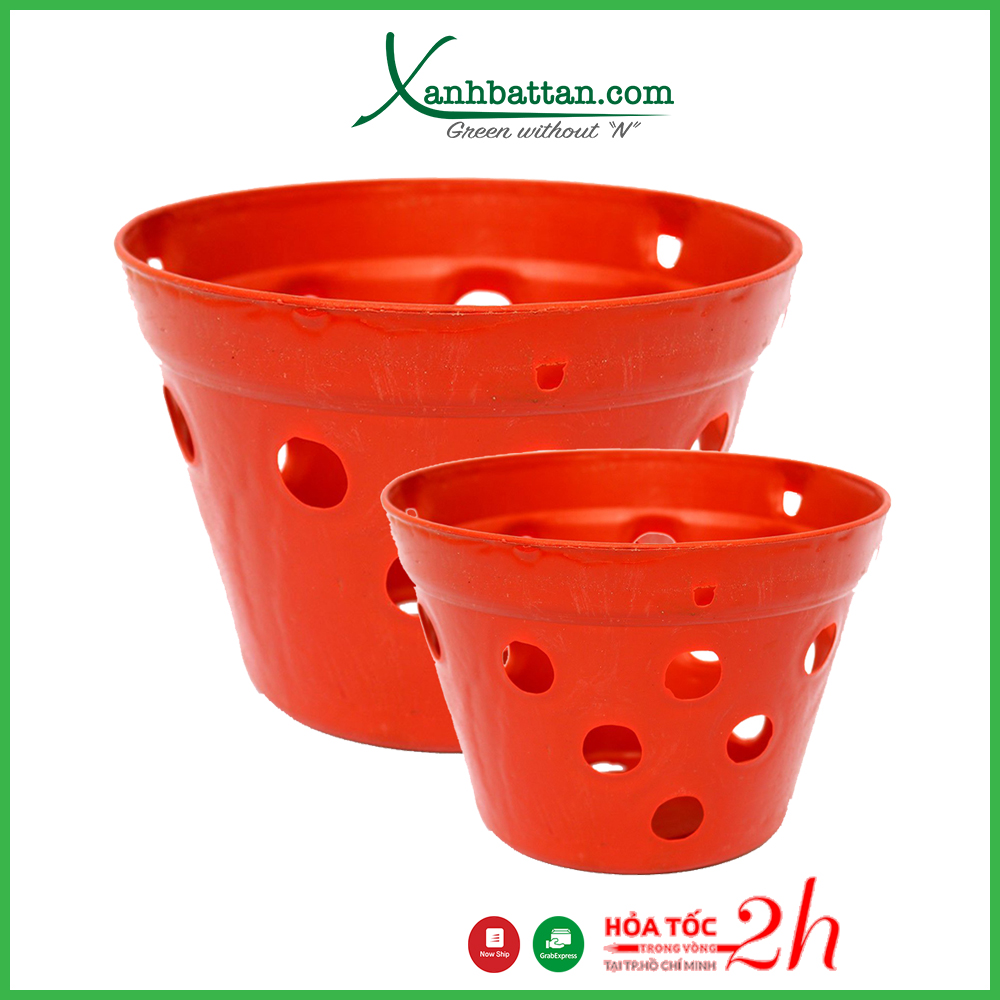 Chậu nhựa trồng lan giả đất nung nhiều kích cỡ