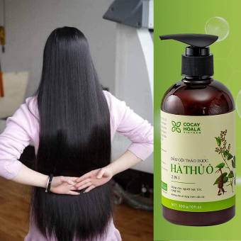 1 CHAI DẦU GỘI THẢO DƯỢC HÀ THỦ Ô 2IN1 LÀM SẠCH DA ĐẦU CHO TÓC ÓNG MƯỢT KÍCH THÍCH MỌC TÓC 800ML/1 chai