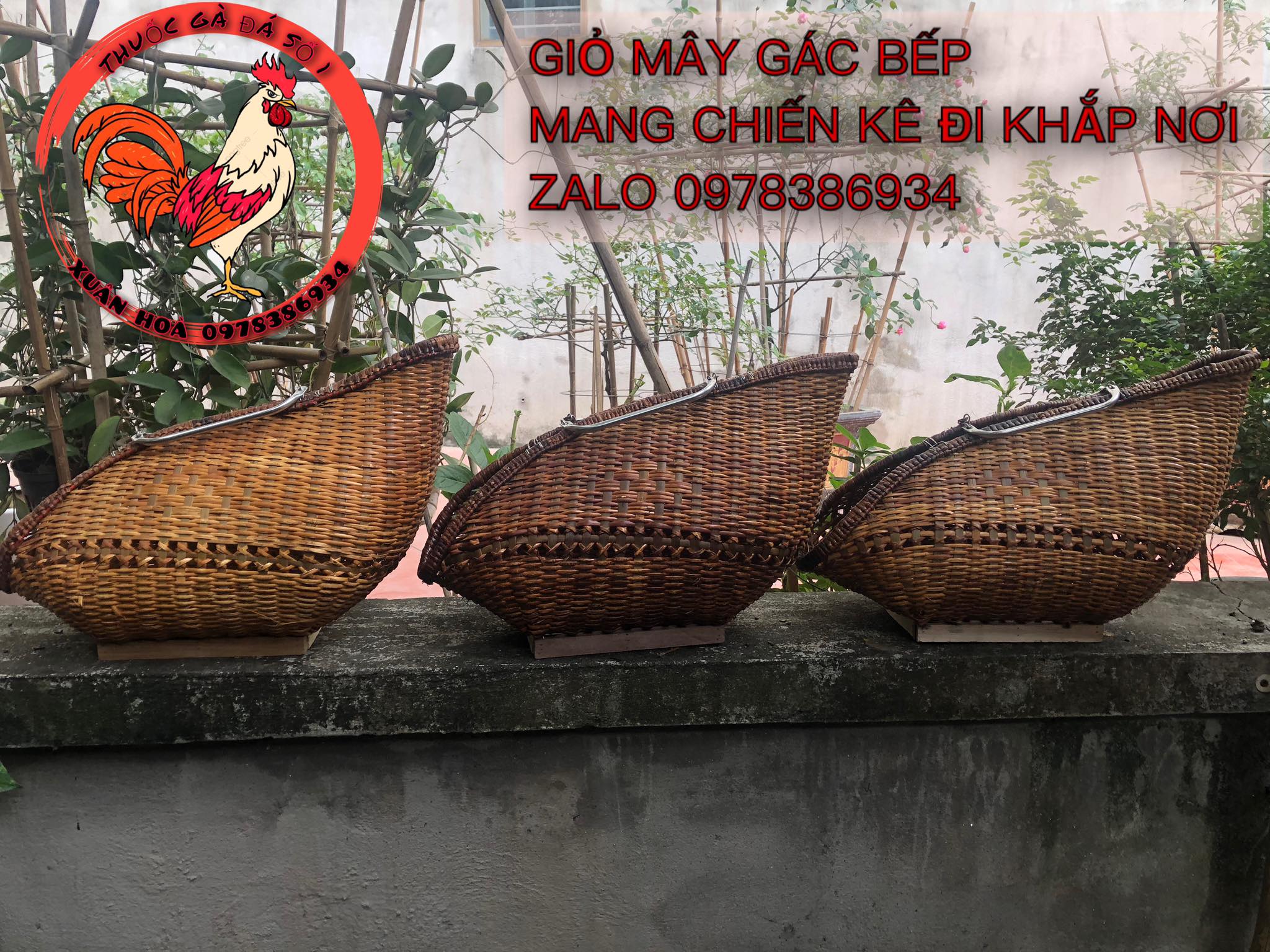 Giỏ đựng gà đá, sách gà đi sách tiền về