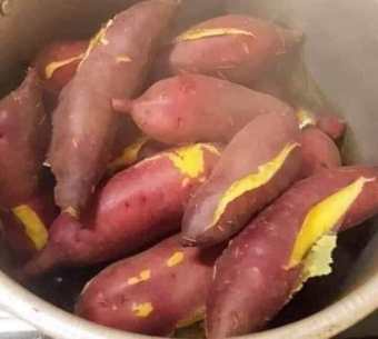 Khoai Lang Nh.ật Ruột V.àng - Hàng Tuyển Loại 1 - Bở - Ngọt ( VIDIEO ẢNH THẬT )