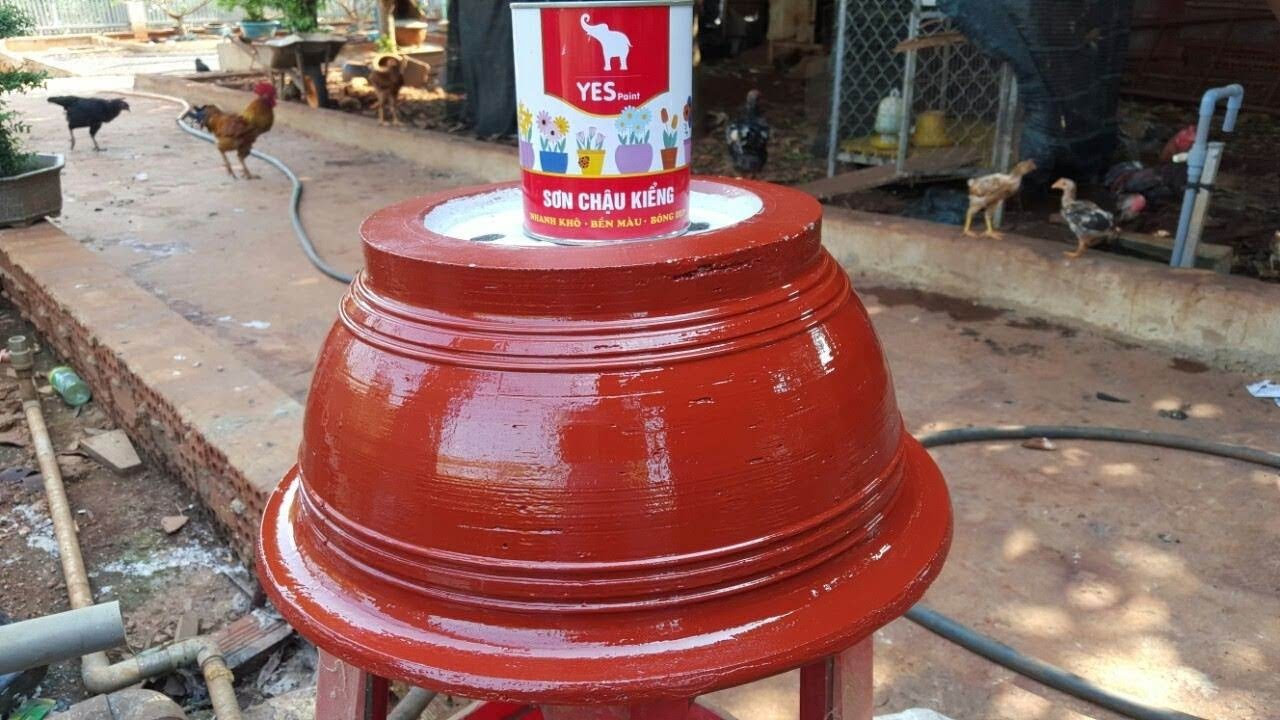 Sơn chậu kiểng hệ xăng.