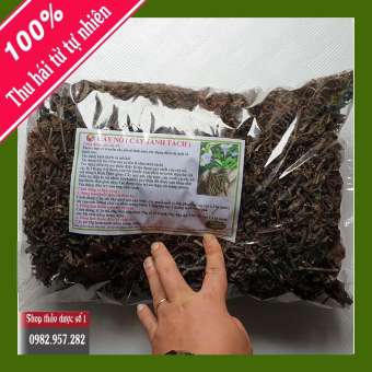 Giá sốc- 01 KG Cây Sâm Nổ (Sâm Tách) Khô Loại 1 Giúp Thận Khỏe